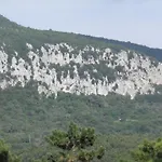 Md * Roč
