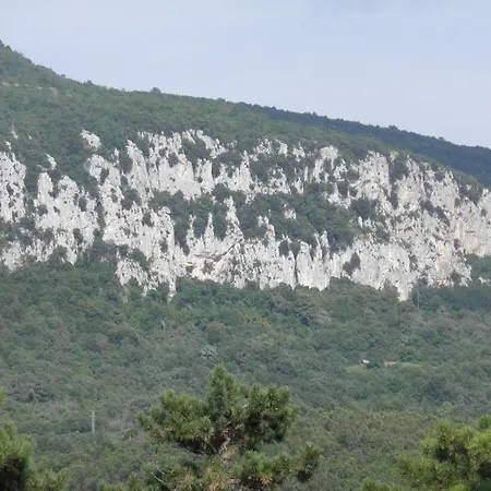 Md * Roč